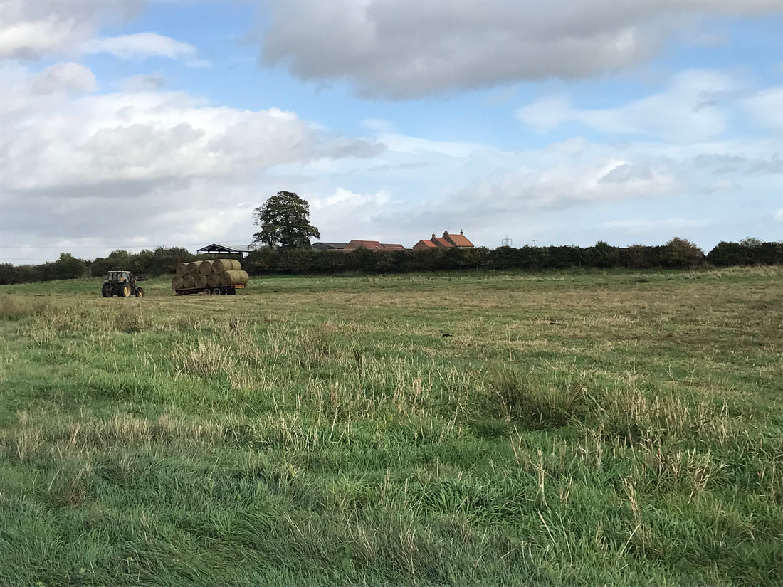 Gathering bales in the Ings with the tractor and trailer in the middle distance for transport back to the farm