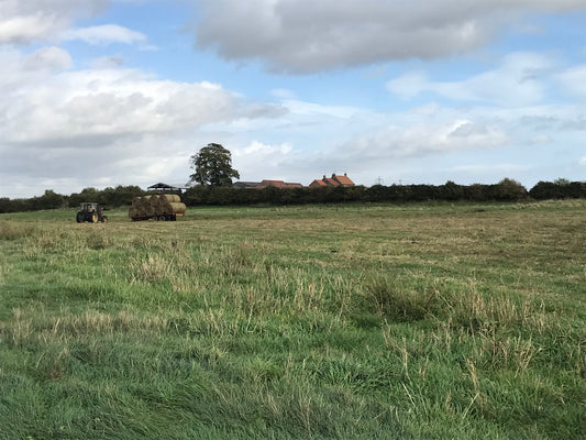 Gathering bales in the Ings with the tractor and trailer in the middle distance for transport back to the farm
