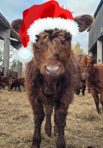 Rosewood Farm Christmas Card